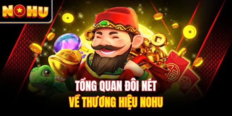 Tổng quan đôi nét về thương hiệu Nohu